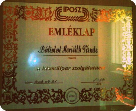 A kézműipar szolgálatáért